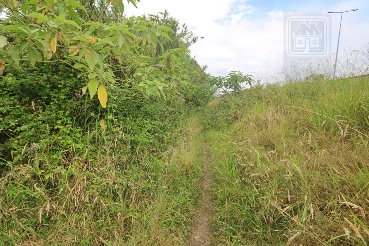 Terreno Agricola ou Rústico para Venda em Lagoa (Nossa Senhora do Rosario) Foto 32