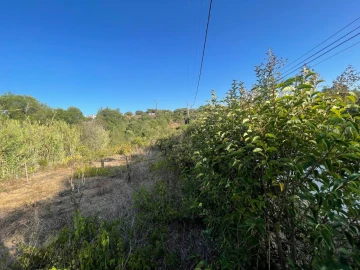 Terreno para Venda em Sesimbra (Castelo)