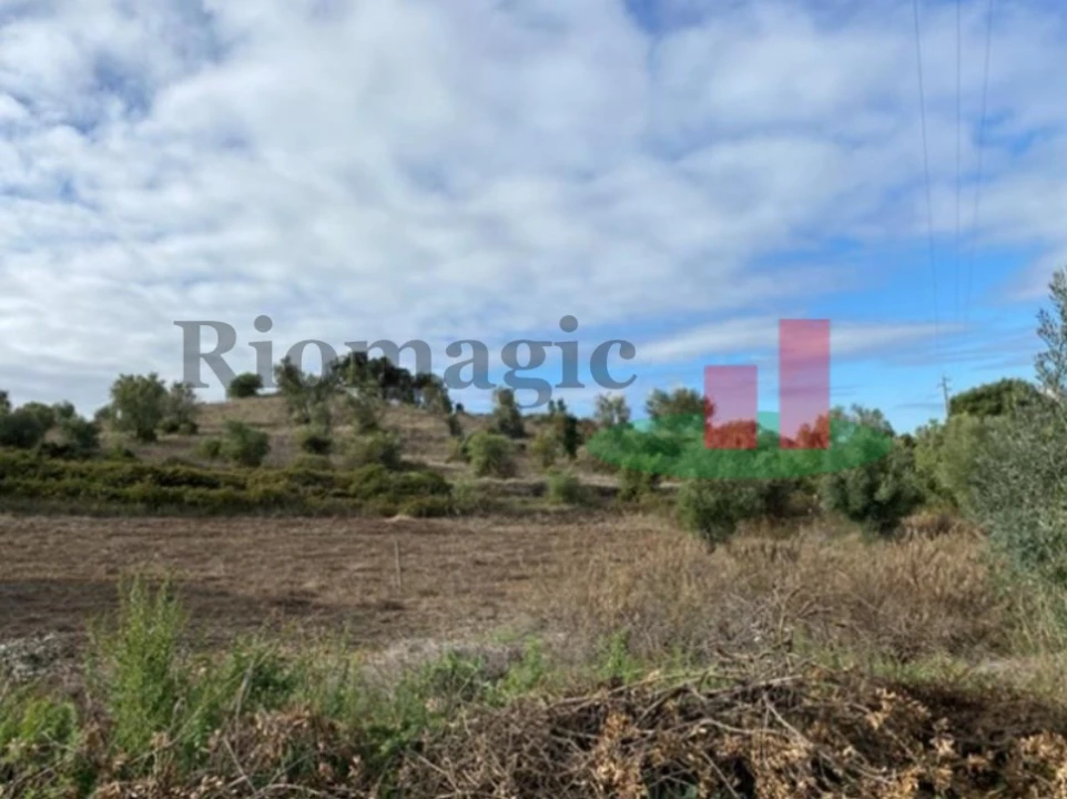 Terreno para Venda em Alcoentre Foto 2