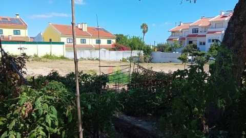 Terreno para Venda em Palmela