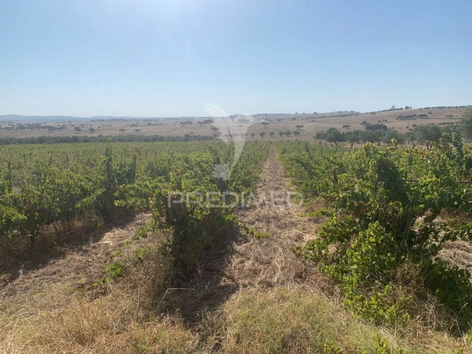 Terreno para Venda em Granja Foto 8