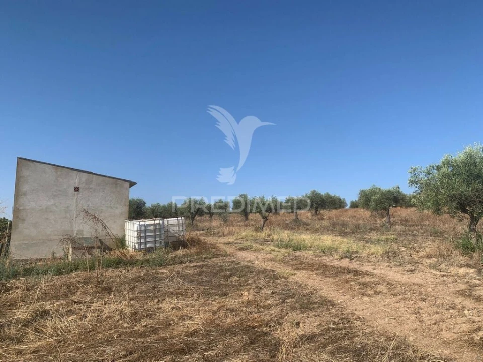 Terreno para Venda em Granja Foto 20