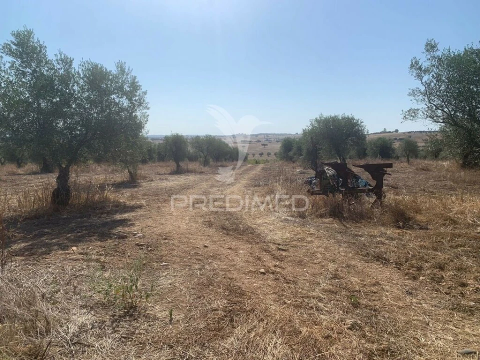 Terreno para Venda em Granja Foto 14