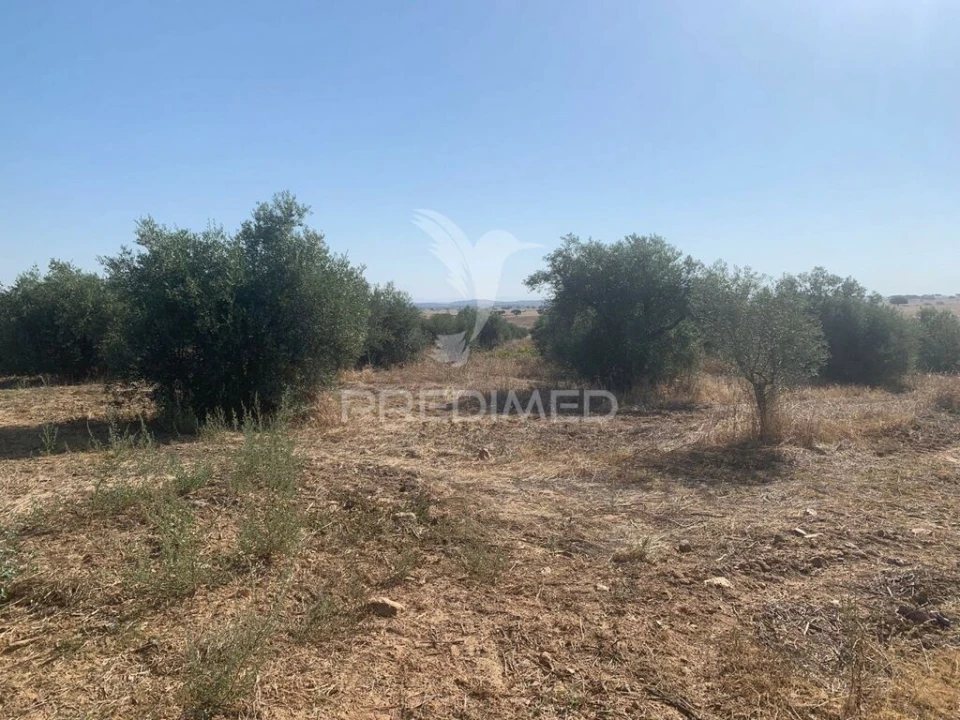 Terreno para Venda em Granja Foto 19