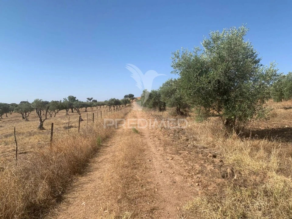 Terreno para Venda em Granja Foto 15