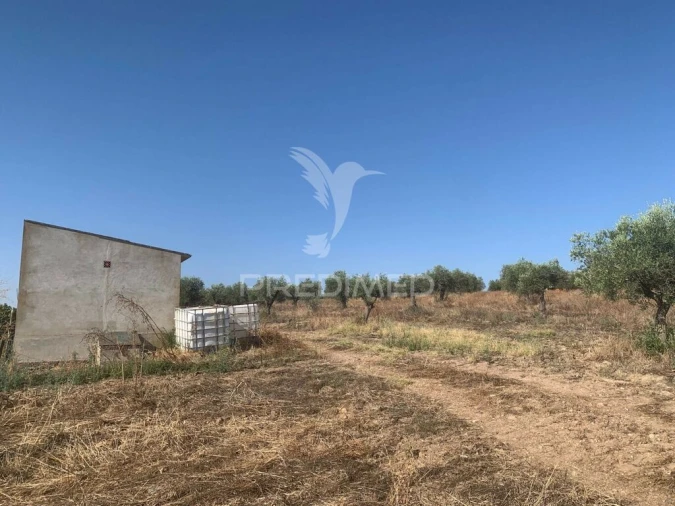 Terreno para Venda em Granja Foto 20