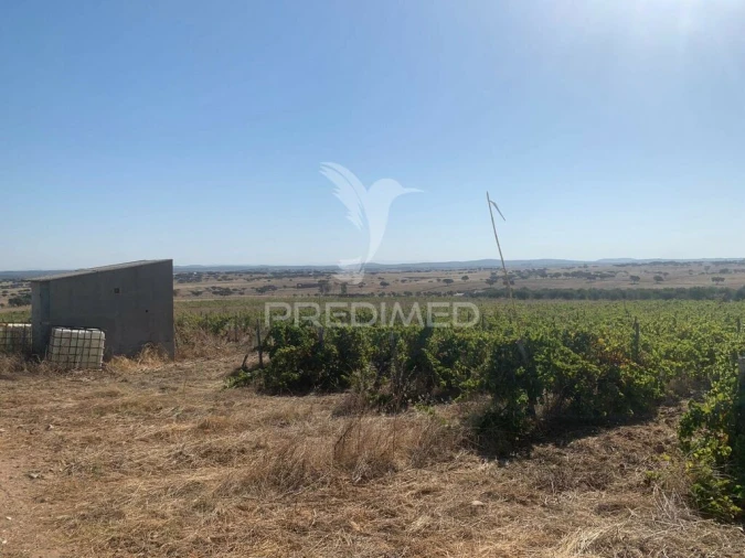 Terreno para Venda em Granja Foto 3