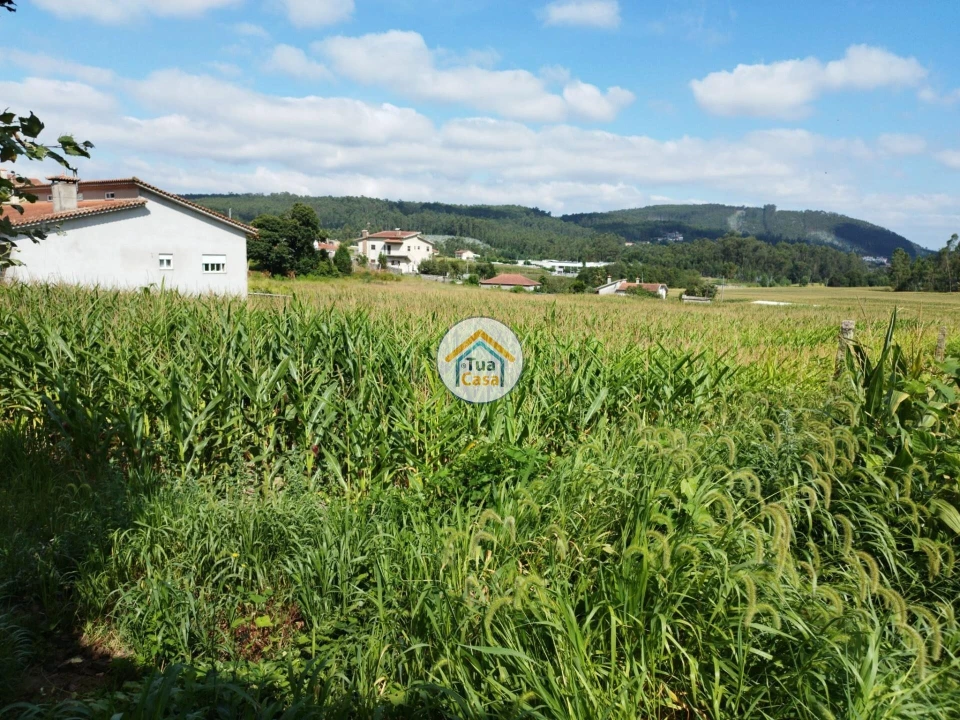 Terreno para Venda em Silveiros e Rio Covo (Santa Eulália) Foto 16