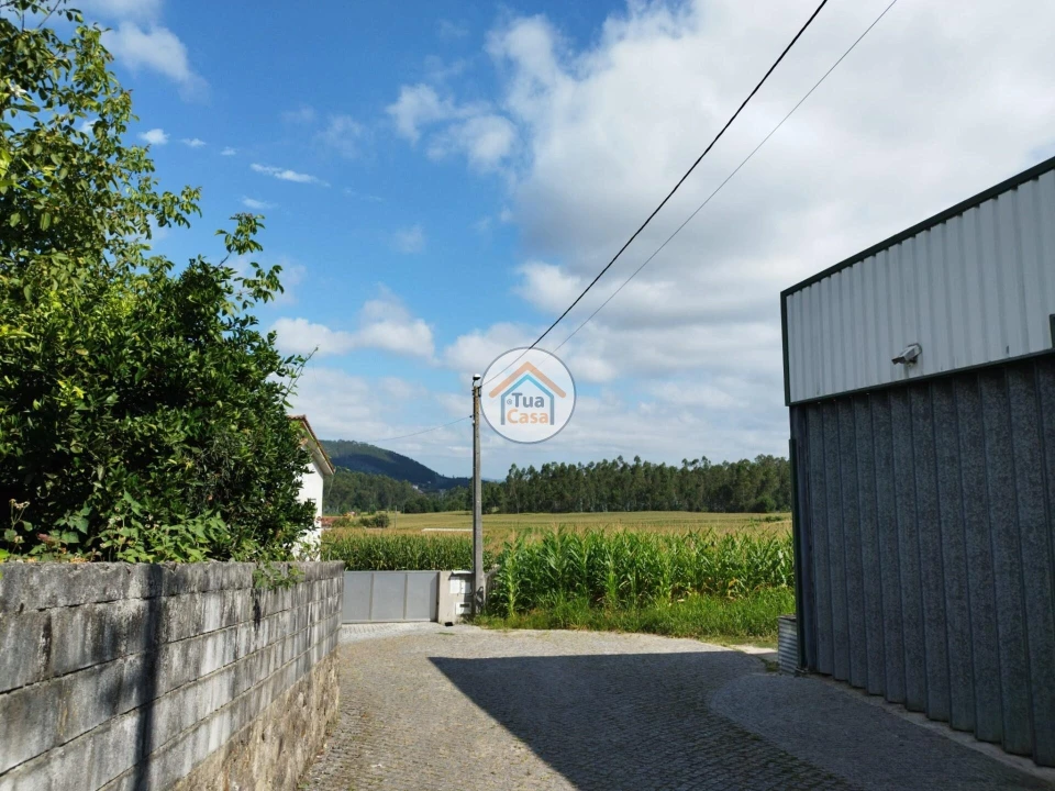 Terreno para Venda em Silveiros e Rio Covo (Santa Eulália) Foto 19