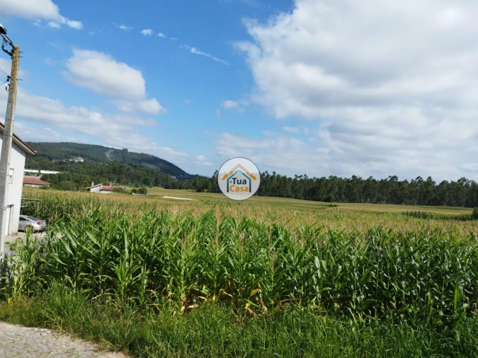 Terreno para Venda em Silveiros e Rio Covo (Santa Eulália) Foto 12