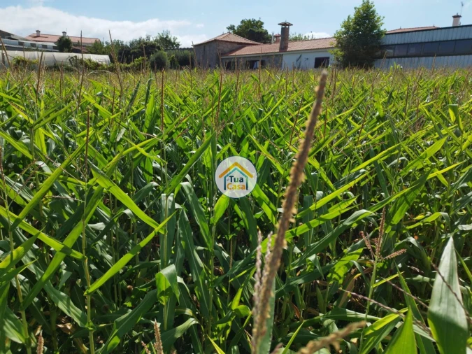 Terreno para Venda em Silveiros e Rio Covo (Santa Eulália) Foto 7