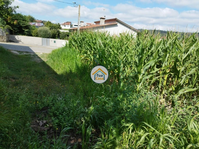 Terreno para Venda em Silveiros e Rio Covo (Santa Eulália) Foto 5