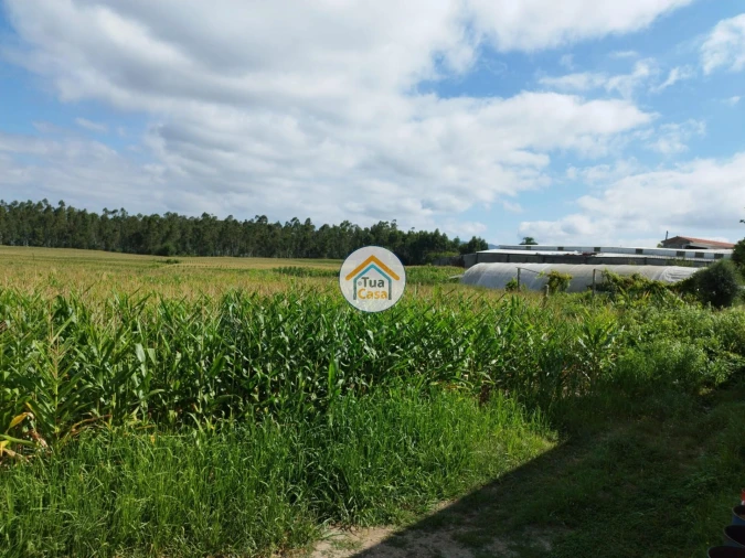Terreno para Venda em Silveiros e Rio Covo (Santa Eulália) Foto 11