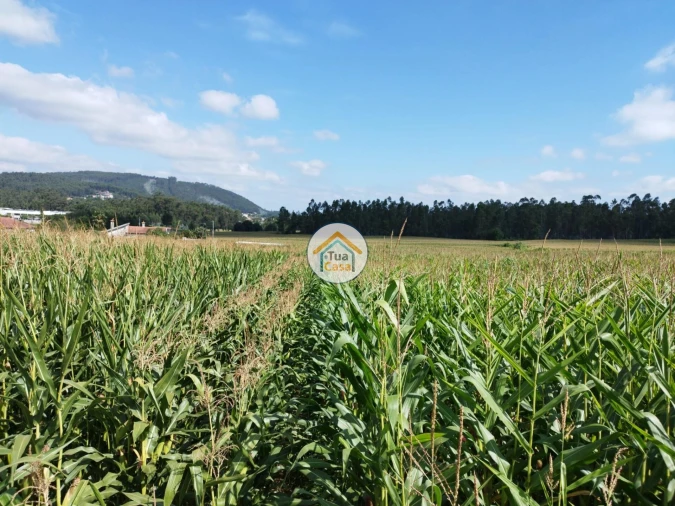 Terreno para Venda em Silveiros e Rio Covo (Santa Eulália) Foto 9