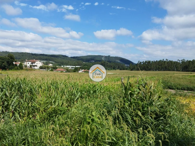 Terreno para Venda em Silveiros e Rio Covo (Santa Eulália) Foto 4