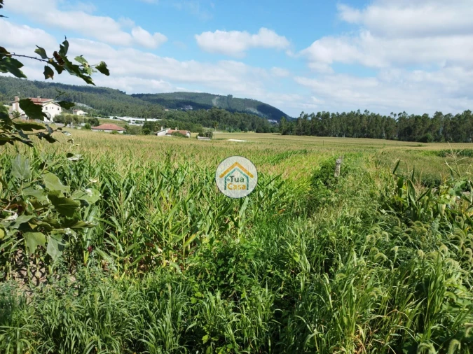 Terreno para Venda em Silveiros e Rio Covo (Santa Eulália) Foto 15