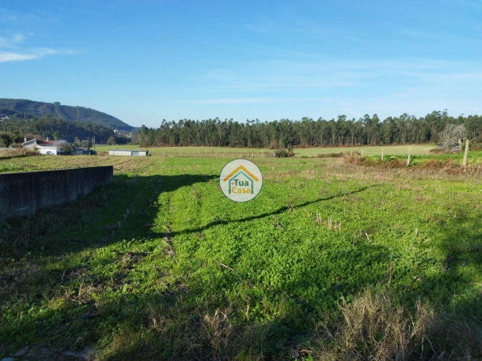 Terreno para Venda em Silveiros e Rio Covo (Santa Eulália) Foto 22