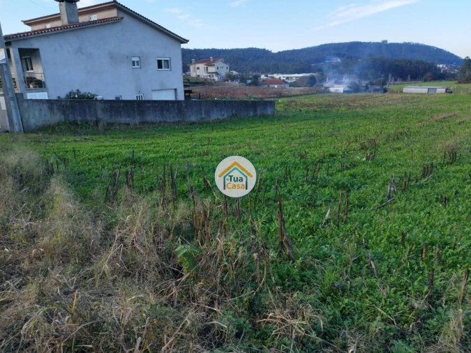 Terreno para Venda em Silveiros e Rio Covo (Santa Eulália) Foto 23