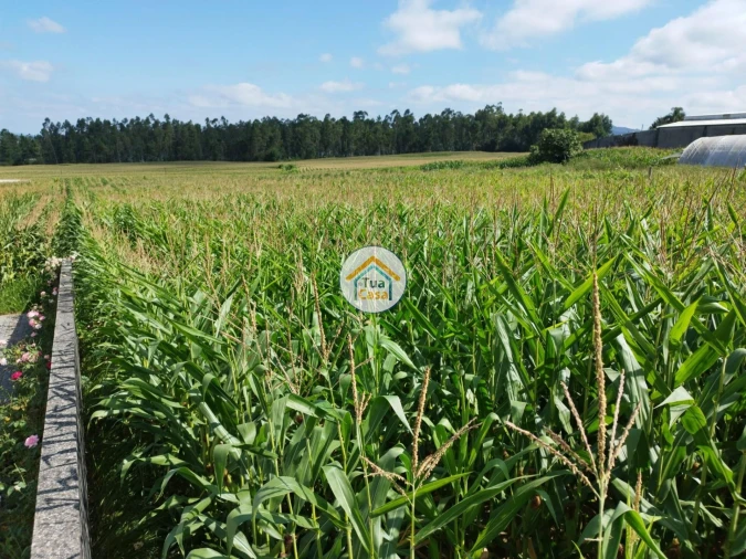 Terreno para Venda em Silveiros e Rio Covo (Santa Eulália) Foto 10