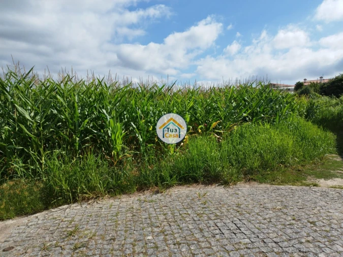Terreno para Venda em Silveiros e Rio Covo (Santa Eulália) Foto 17