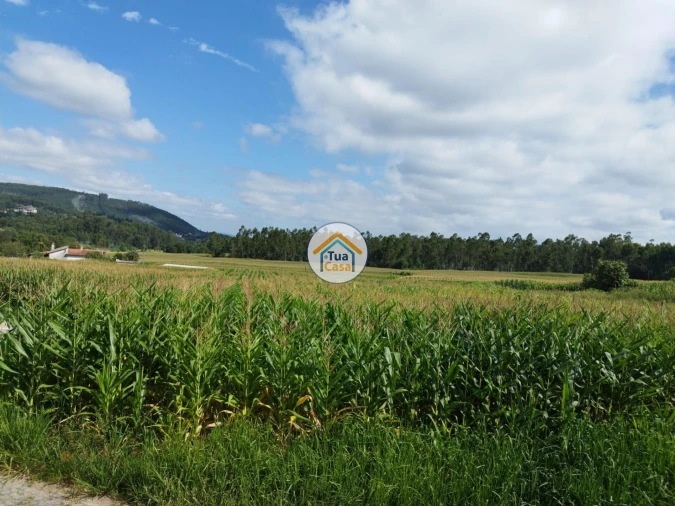 Terreno para Venda em Silveiros e Rio Covo (Santa Eulália) Foto 14