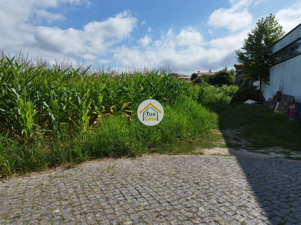 Terreno para Venda em Silveiros e Rio Covo (Santa Eulália) Foto 18