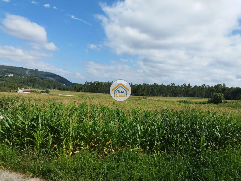 Terreno para Venda em Silveiros e Rio Covo (Santa Eulália) Foto 14