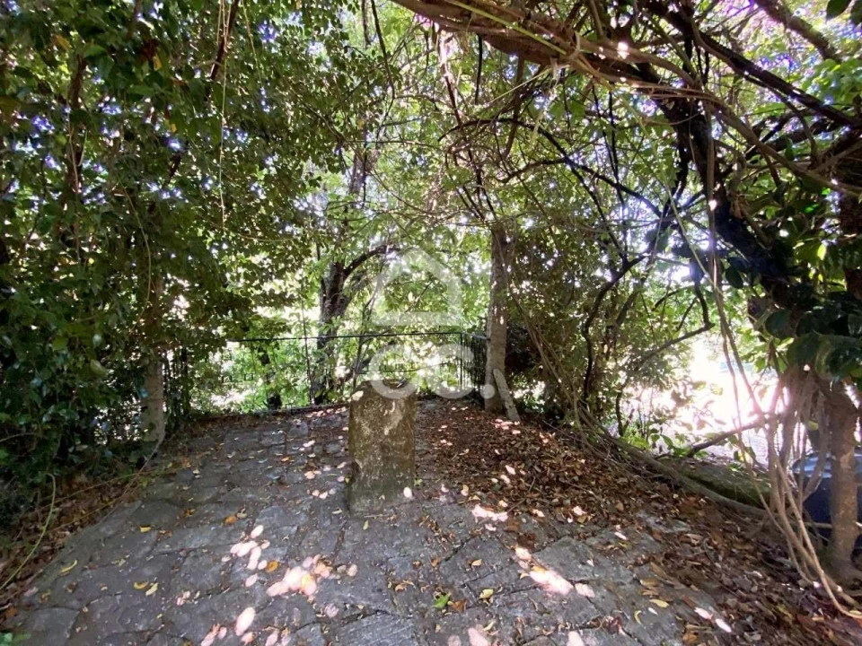 Quinta T6 para Venda em Campo Foto 32