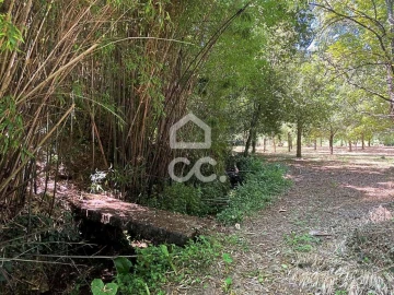 Quinta T6 para Venda em Campo