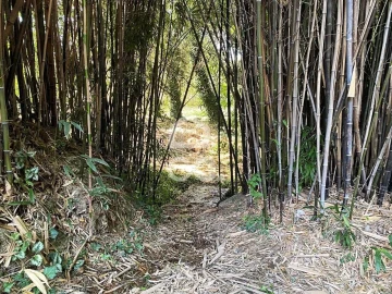 Quinta T6 para Venda em Campo