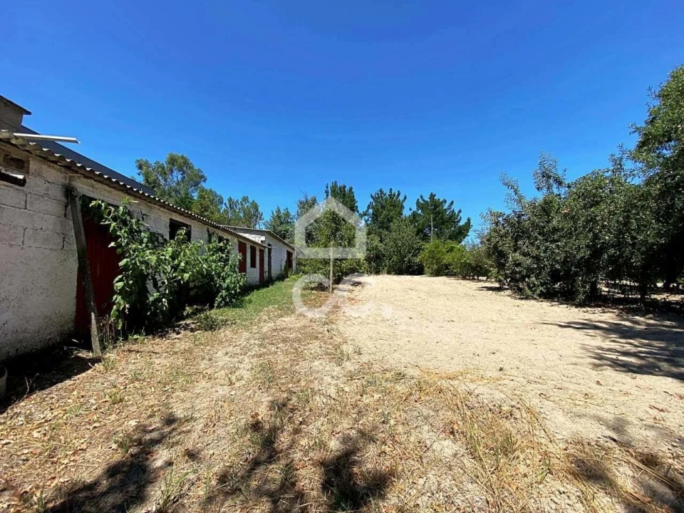 Quinta T6 para Venda em Campo Foto 48