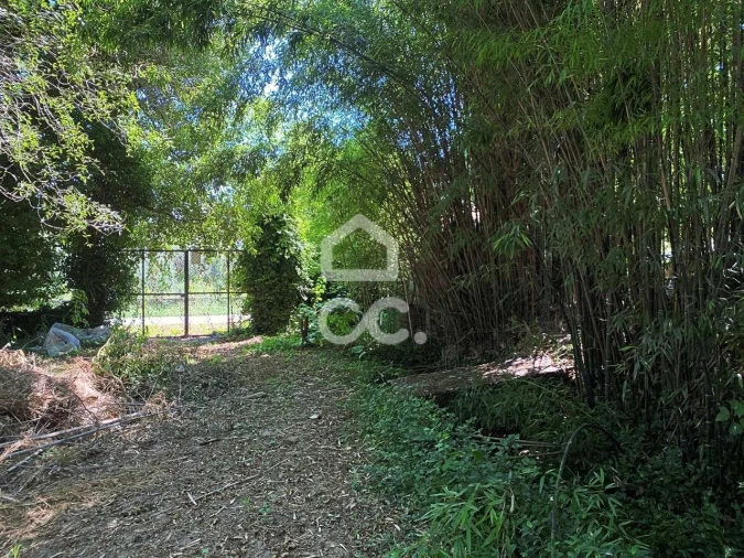 Quinta T6 para Venda em Campo Foto 40
