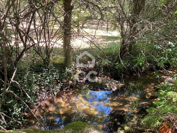 Quinta T6 para Venda em Campo Foto 44