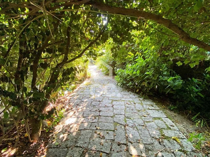 Quinta T6 para Venda em Campo Foto 31
