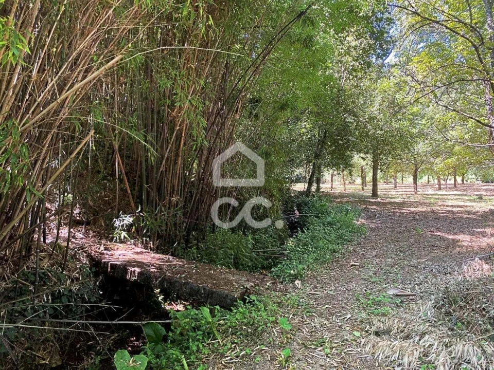 Quinta T6 para Venda em Campo Foto 41