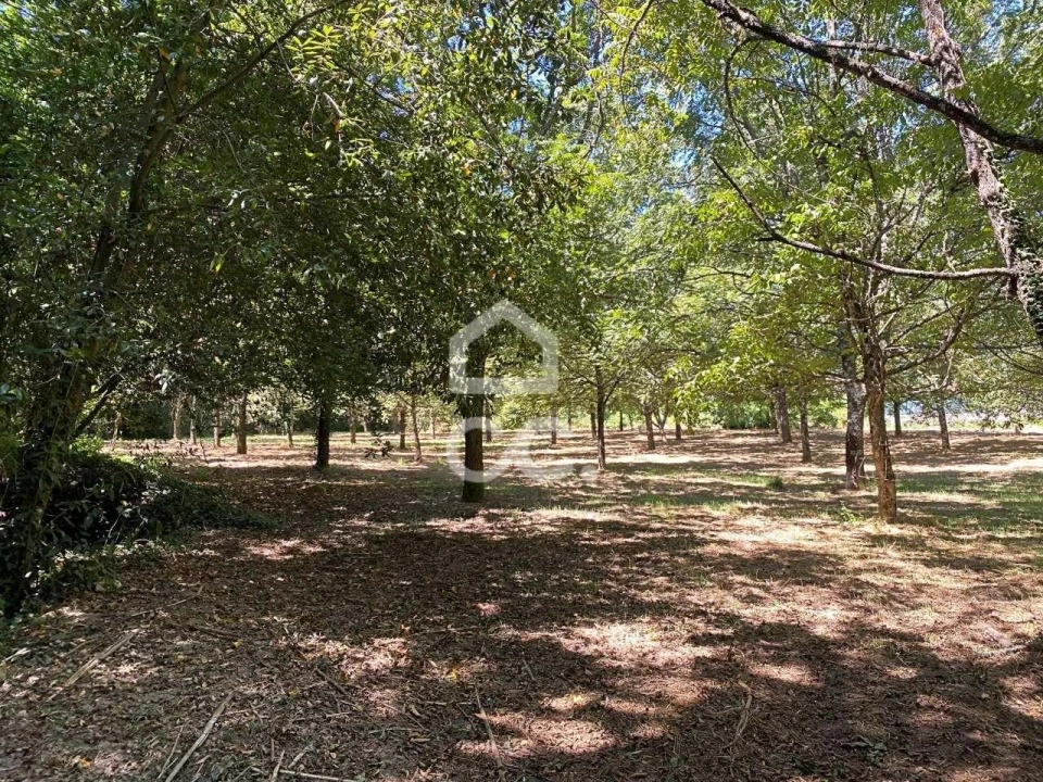 Quinta T6 para Venda em Campo Foto 42