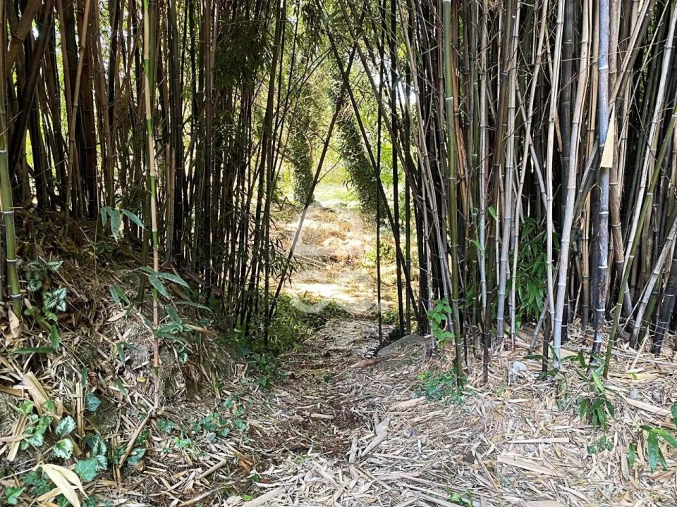 Quinta T6 para Venda em Campo Foto 38