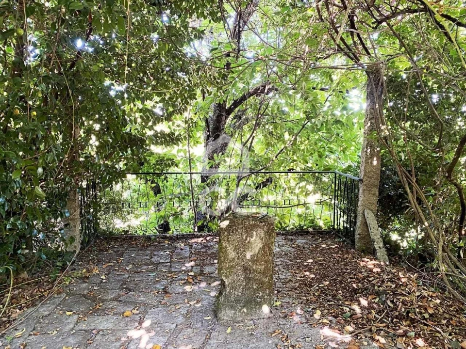 Quinta T6 para Venda em Campo Foto 33