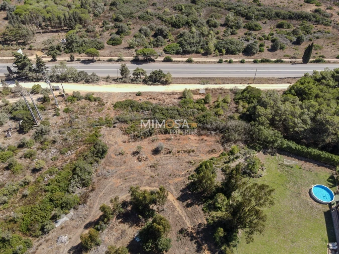 Terreno Agricola ou Rústico para Venda em Barão de São Miguel Foto 6