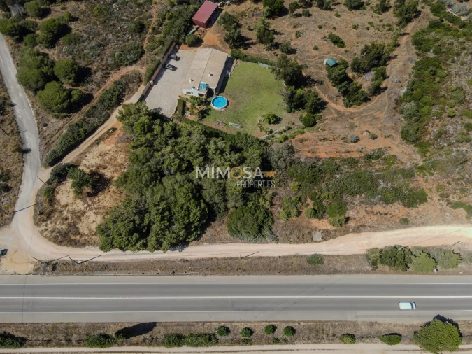 Terreno Agricola ou Rústico para Venda em Barão de São Miguel Foto 2