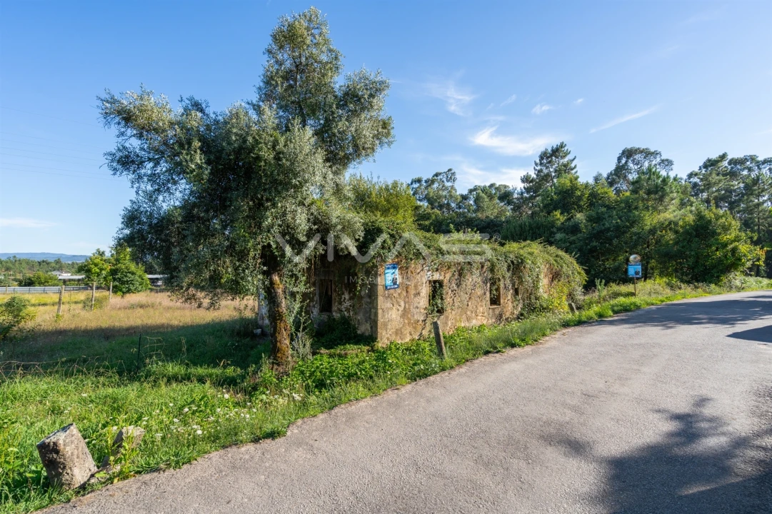 Moradia T0 para Venda em Cervães Foto 6