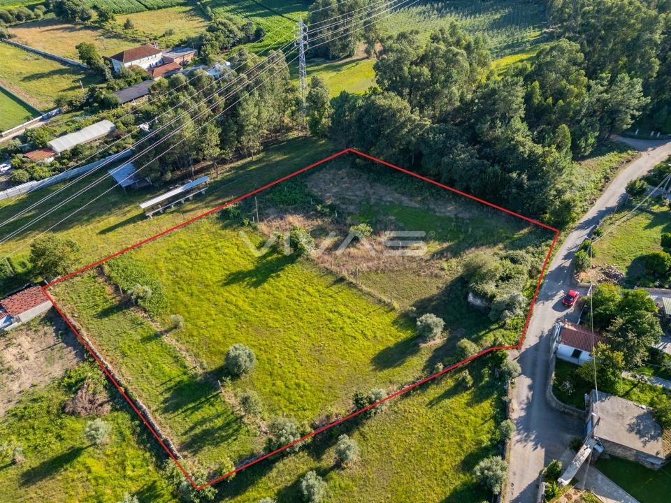 Moradia T0 para Venda em Cervães Foto 3