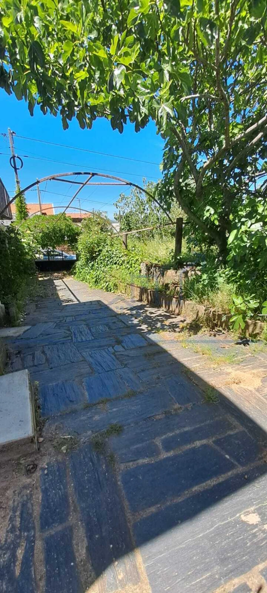 Moradia T3 para Venda em Carviçais Foto 11