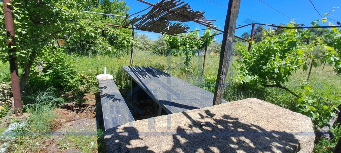 Moradia T3 para Venda em Carviçais Foto 18