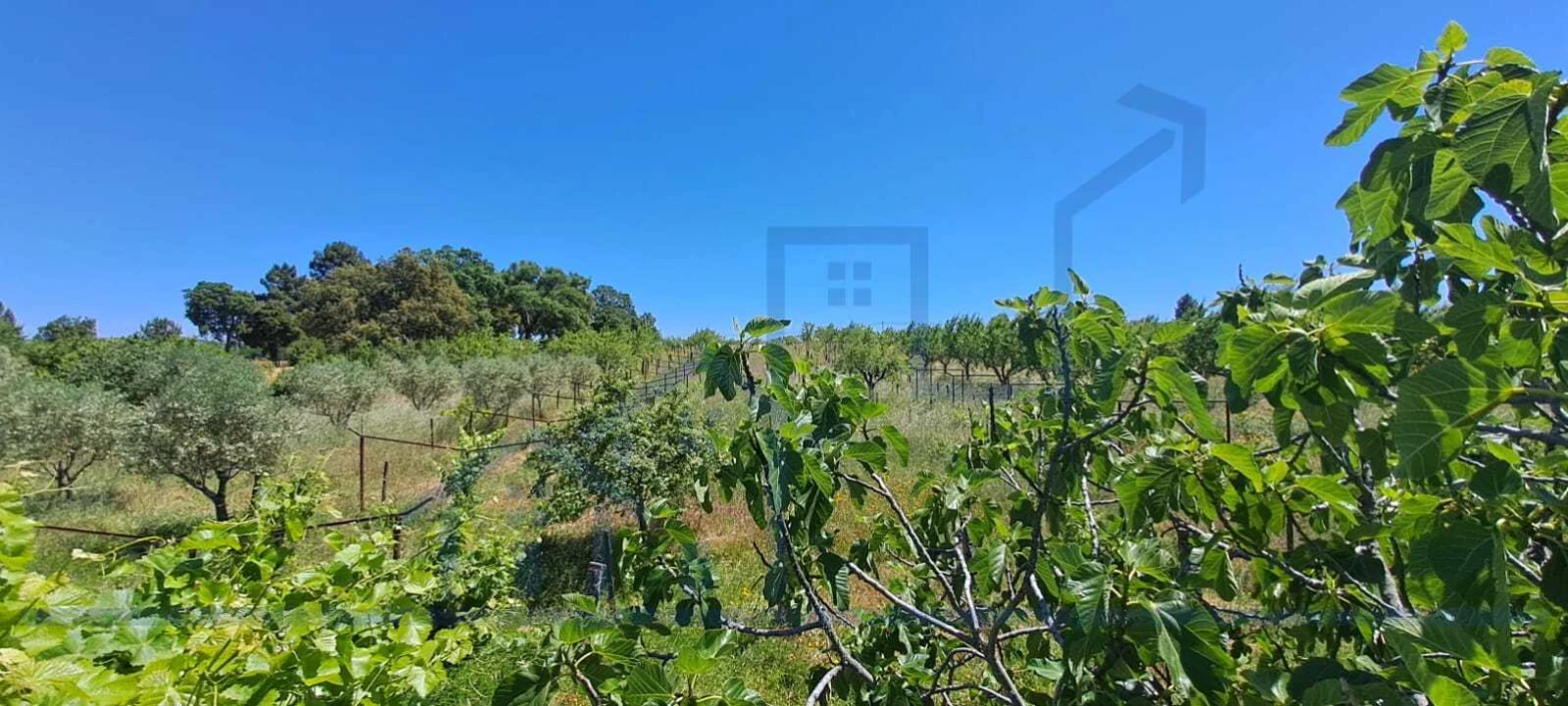 Moradia T3 para Venda em Carviçais Foto 12