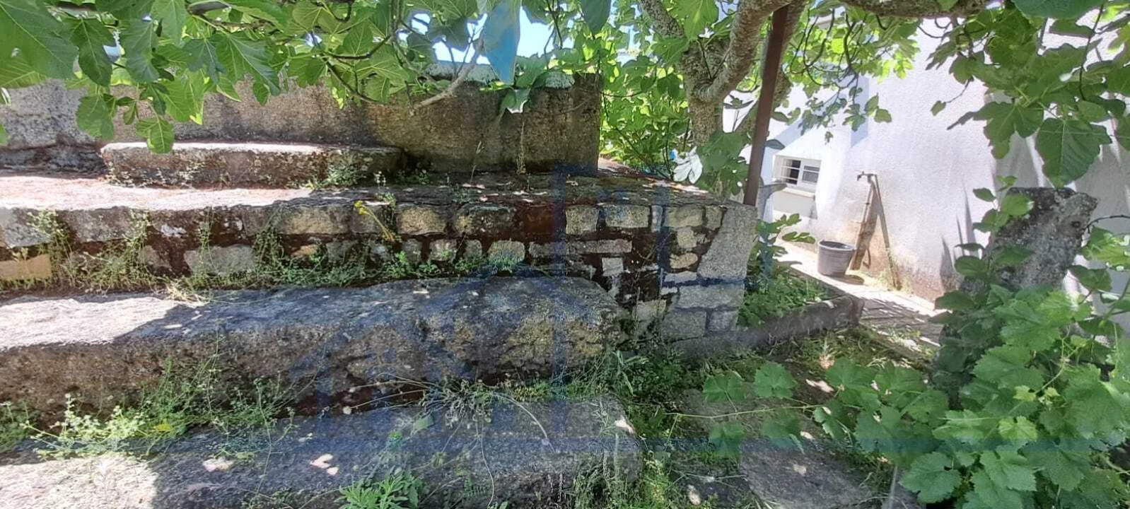 Moradia T3 para Venda em Carviçais Foto 16