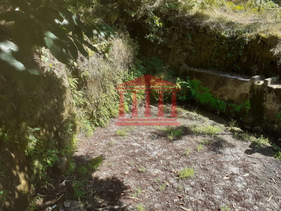 Terreno para Venda em Panque Foto 6