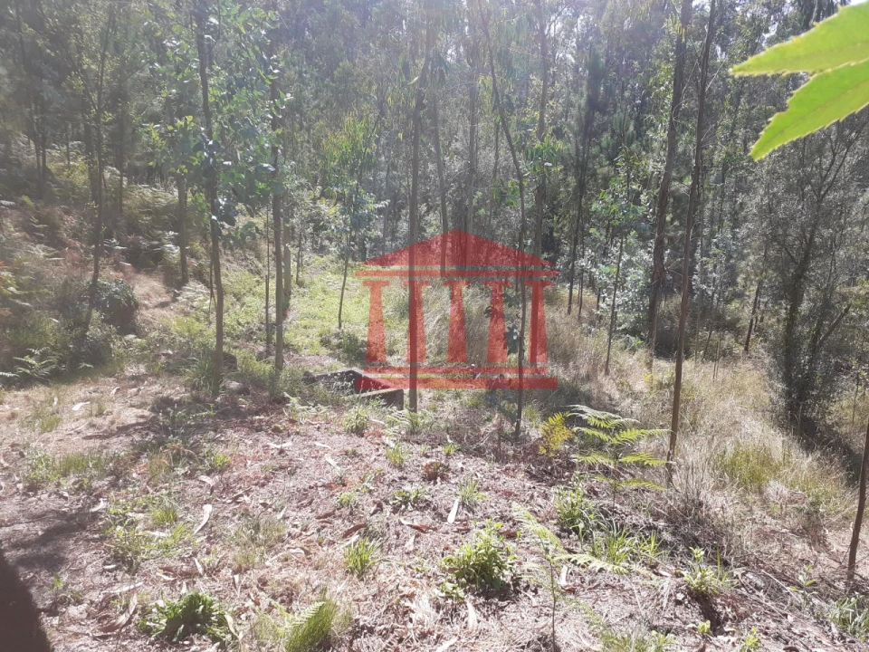 Terreno para Venda em Panque Foto 3