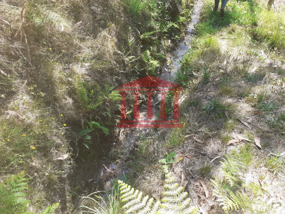 Terreno para Venda em Panque Foto 10