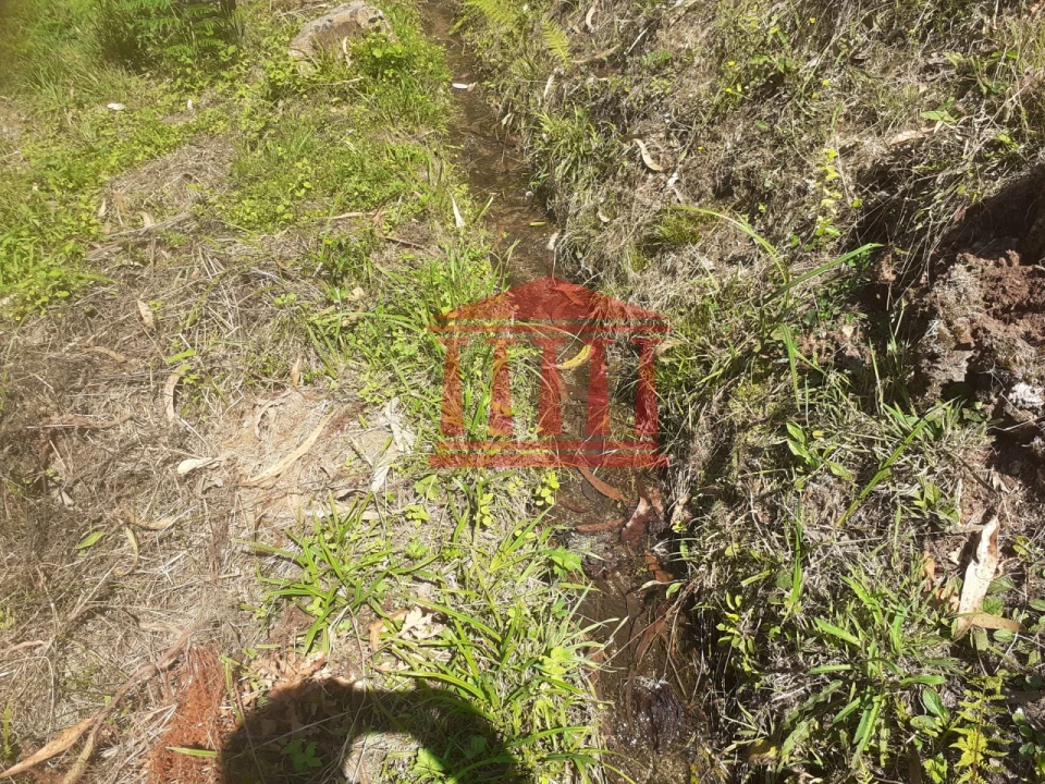 Terreno para Venda em Panque Foto 12